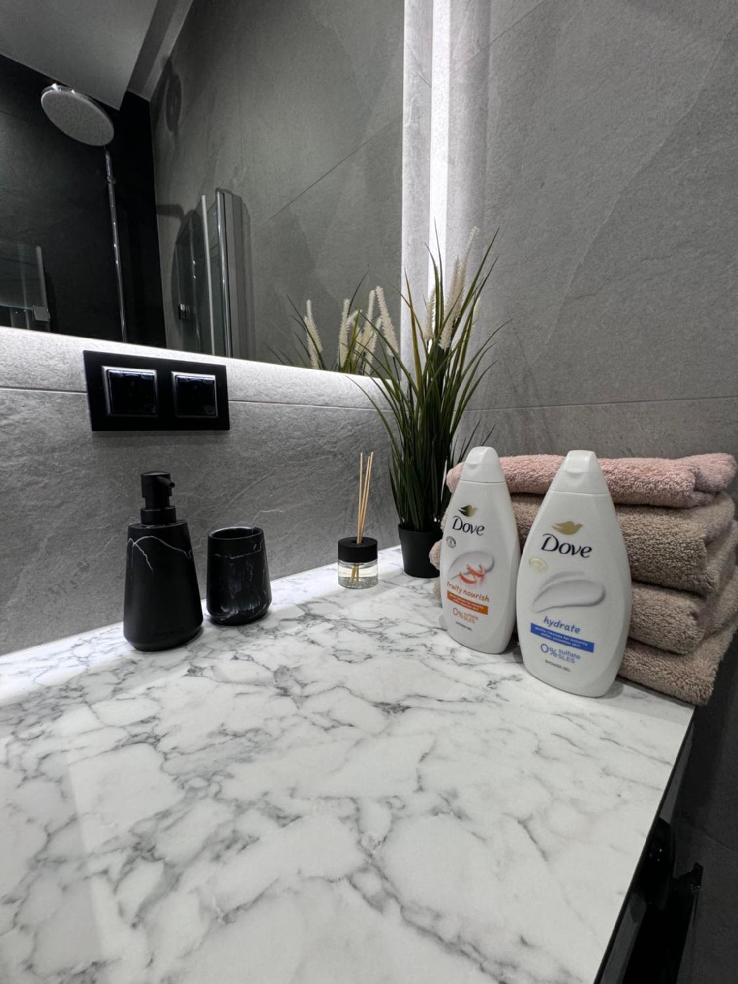Bnp L Business And Pleasure Posnania Apartment